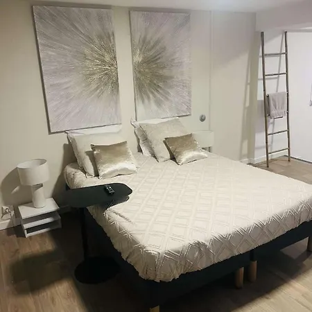 公寓 Loft Ravissant 45m2 Jacuzzi Rvb Night 2 Etablissement Ferme Definitivement