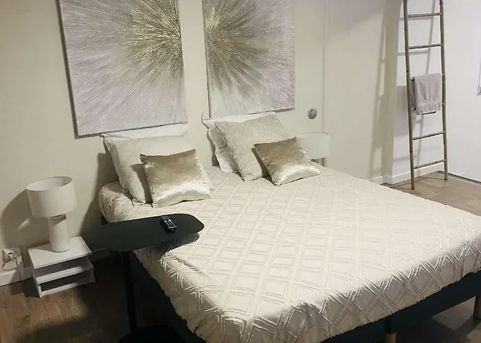 Appartement Loft Ravissant 45m2 Jacuzzi Rvb Night 2 établissement Fermé Définitivement