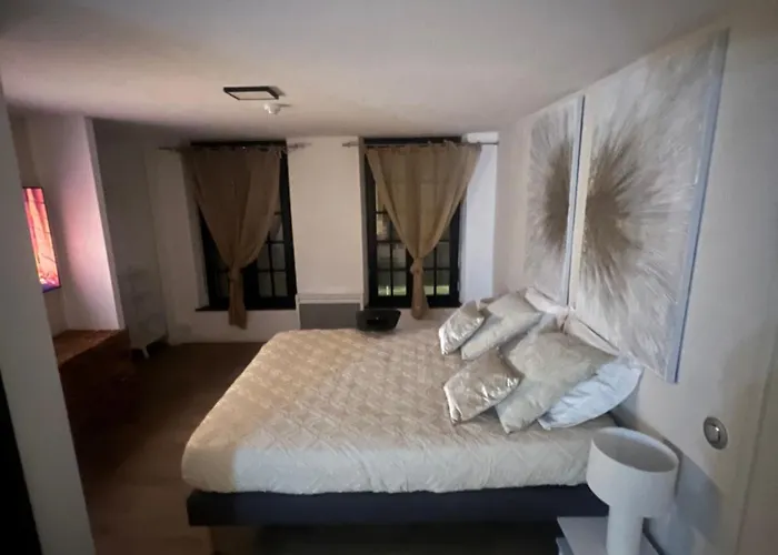 Loft Ravissant 45m2 Jacuzzi Rvb Night 2 établissement Fermé Définitivement * Amiens